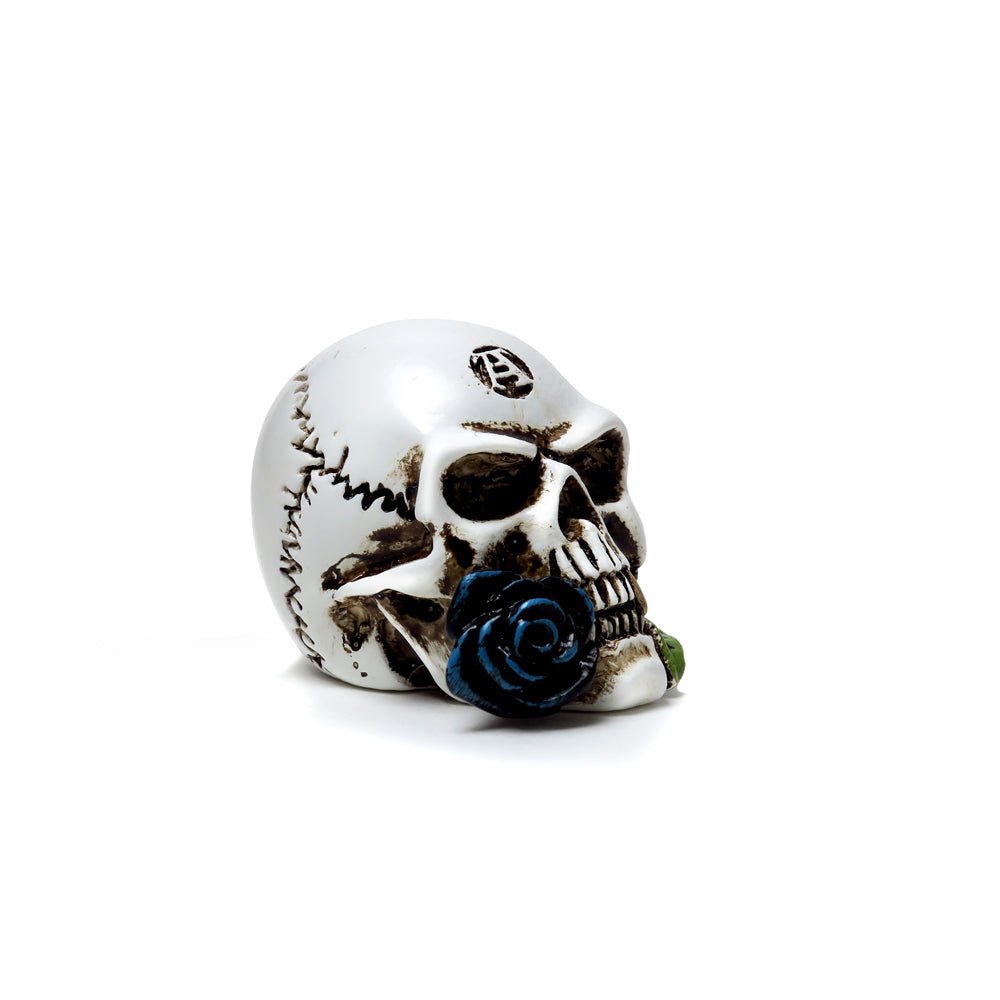 Alchemist Skull Miniature - Alchemy of England - 1