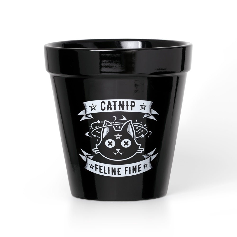 Catnip Plant Pot - Alchemy of England - 1