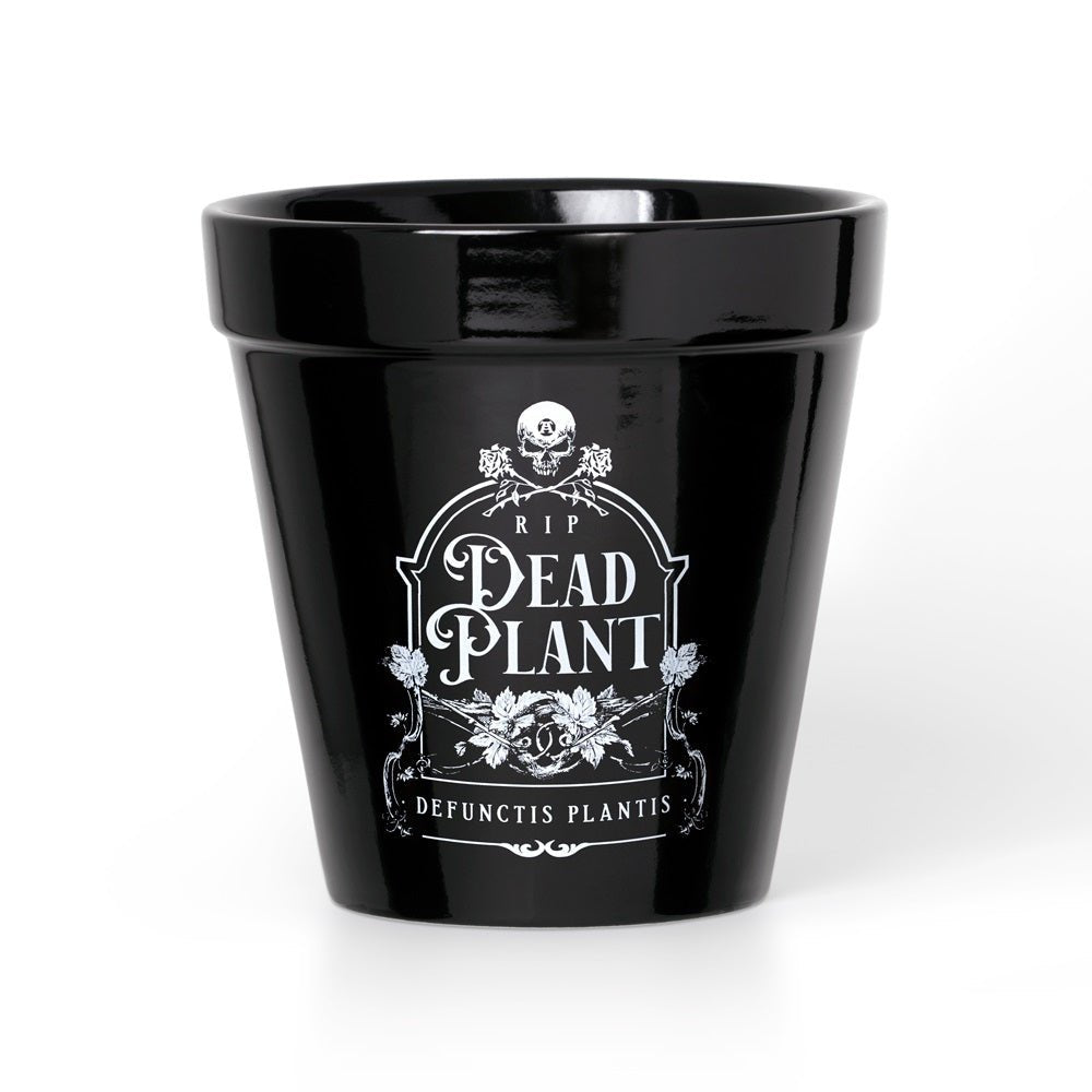Dead Plant Plant Pot - Alchemy of England - 1