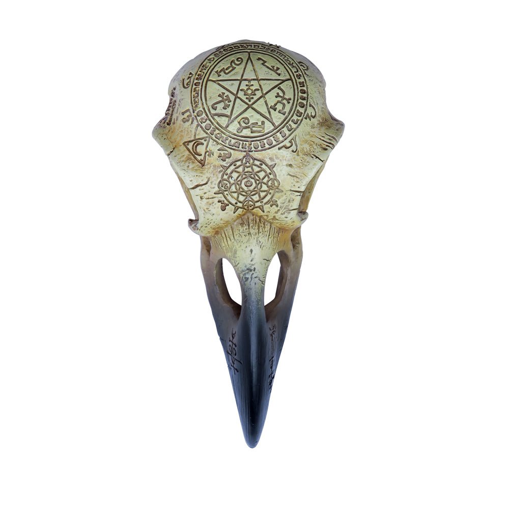 Omega Raven Skull Miniature - Alchemy of England - 1