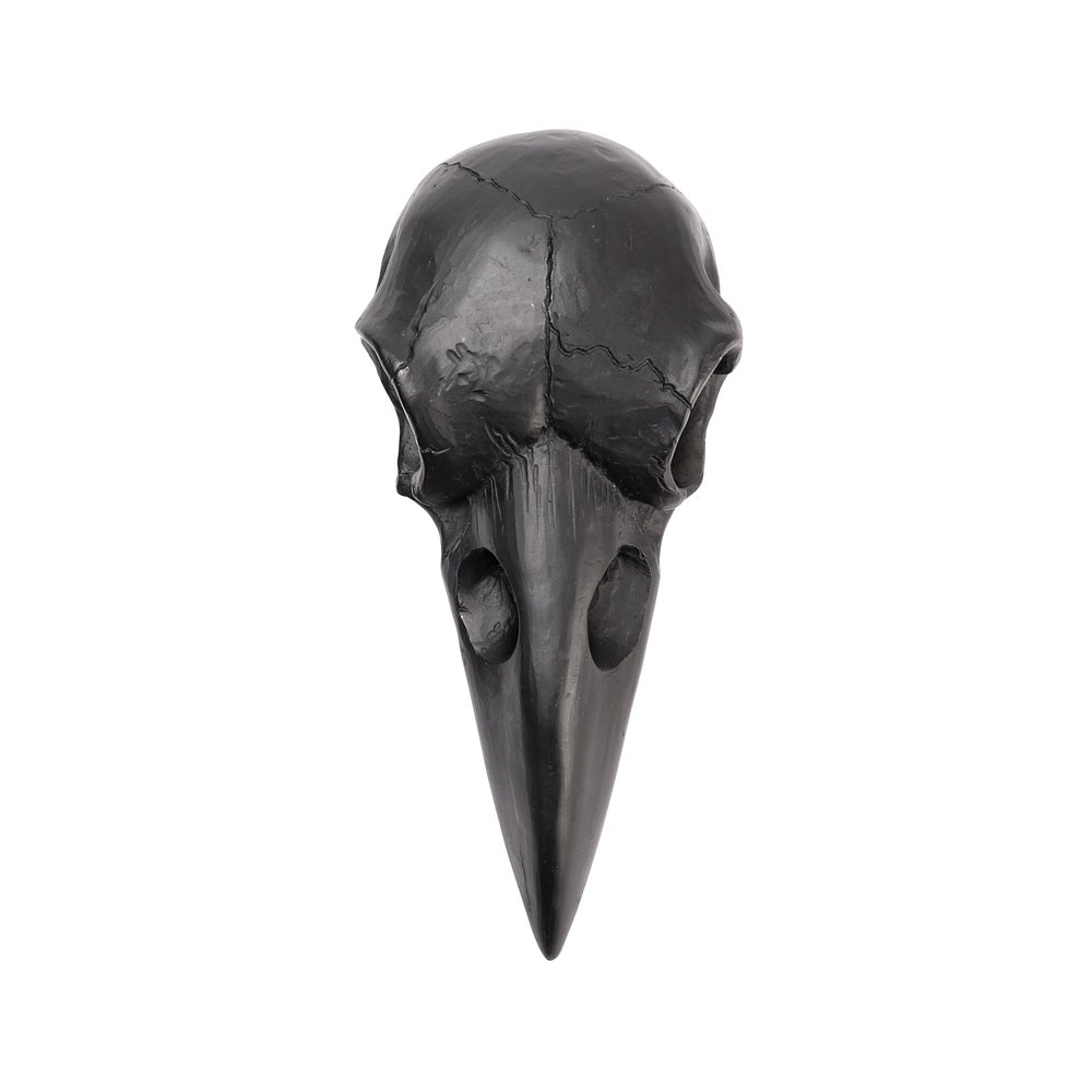 Raven Skull Hand Mirror (Black) - Alchemy of England - 2