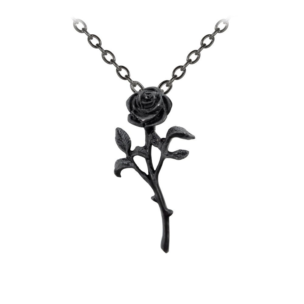 The Romance of The Black Rose Pendant - Alchemy of England - 1