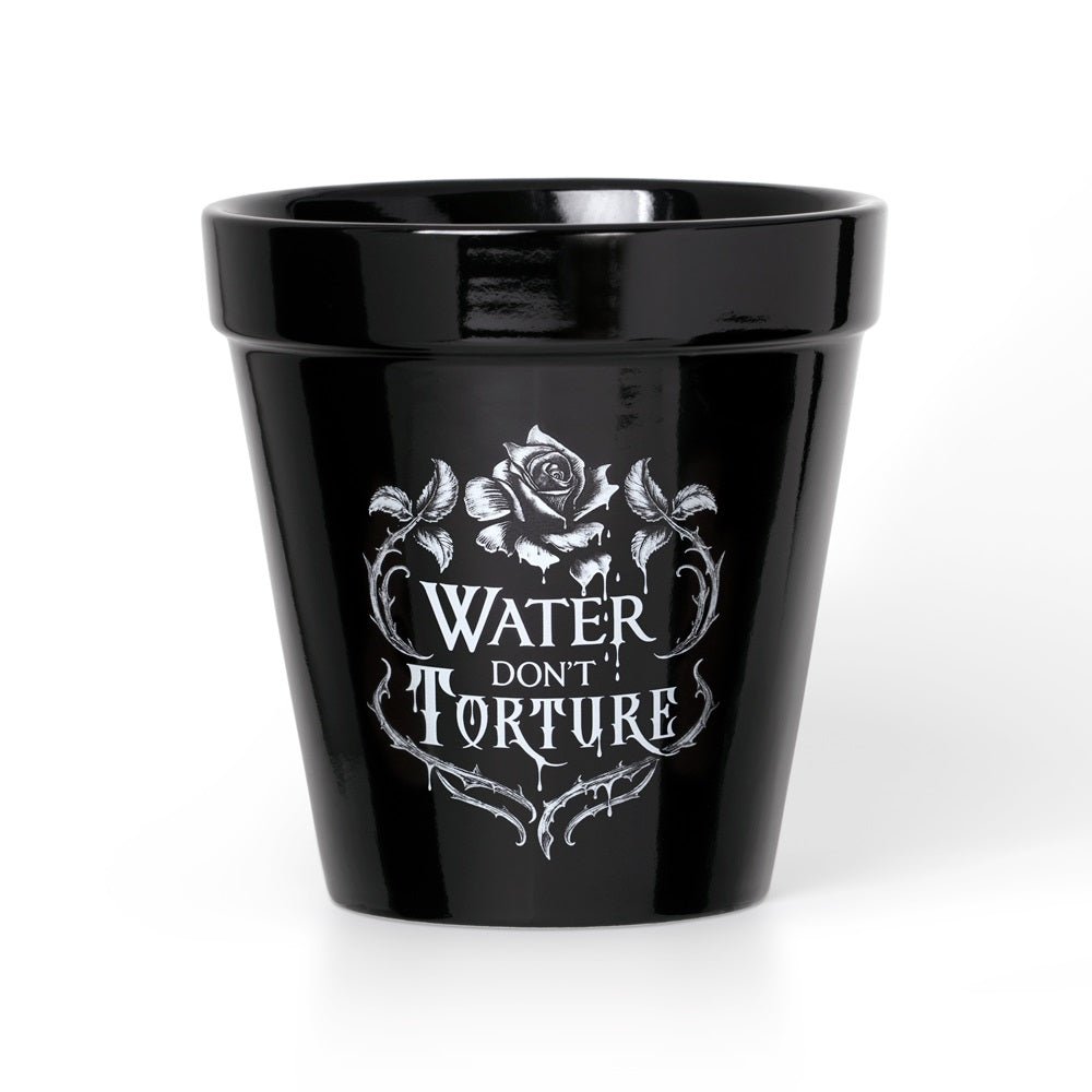 Water Don't Torture Plant Pot - Alchemy of England - 1