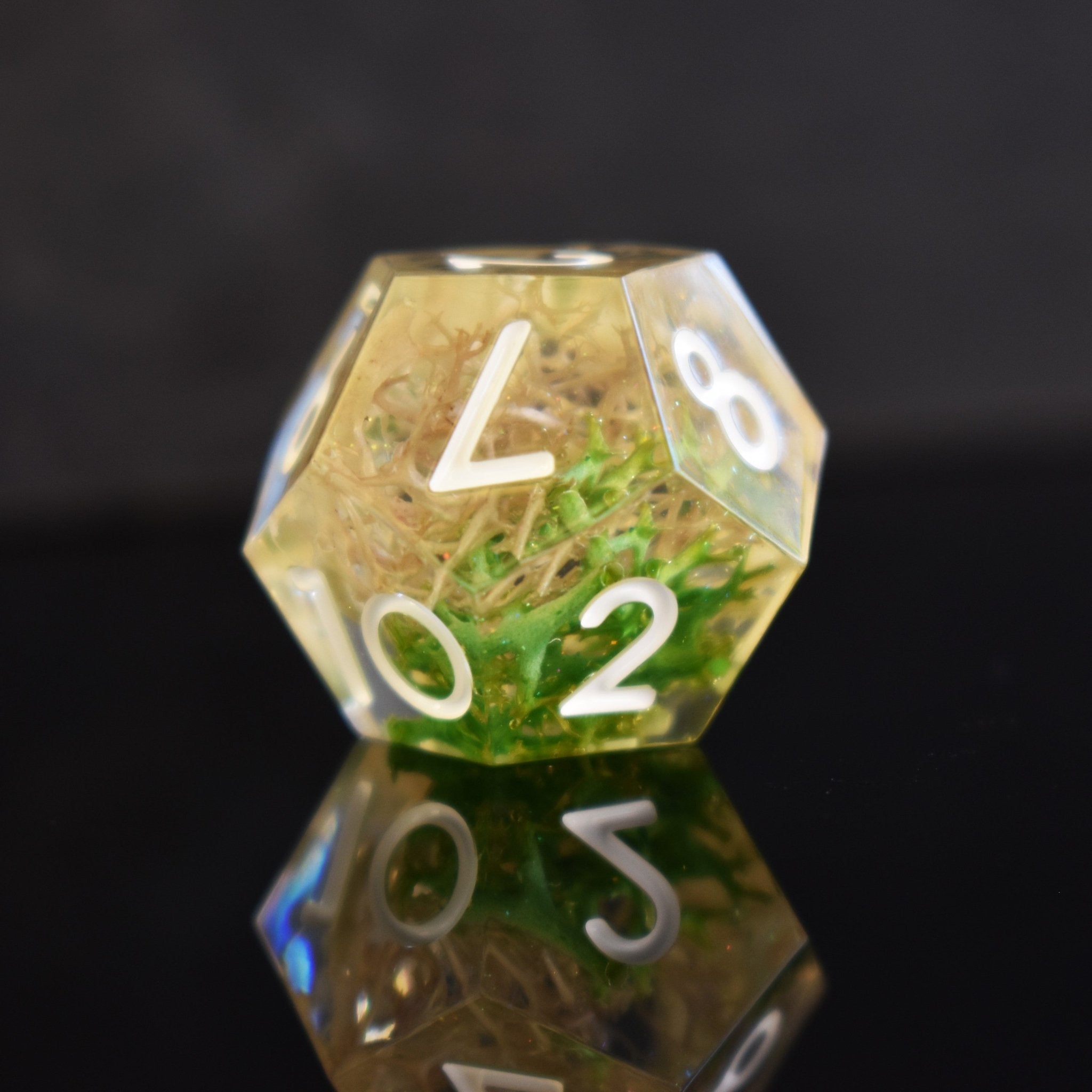 Thorn Whip Sharp - Edged Resin Dice Set - Misty Mountain Gaming - 4