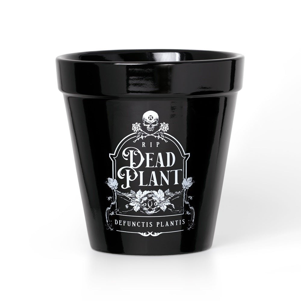 Dead Plant Plant Pot - Alchemy of England - 1