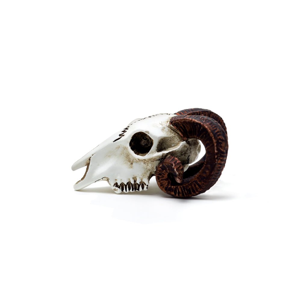 Rams Skull Miniature - Alchemy of England - 4