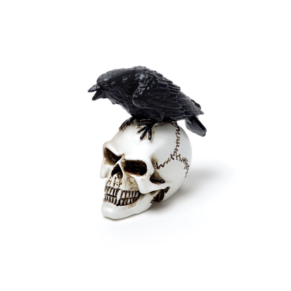 Raven Skull Miniature - Alchemy of England - 1