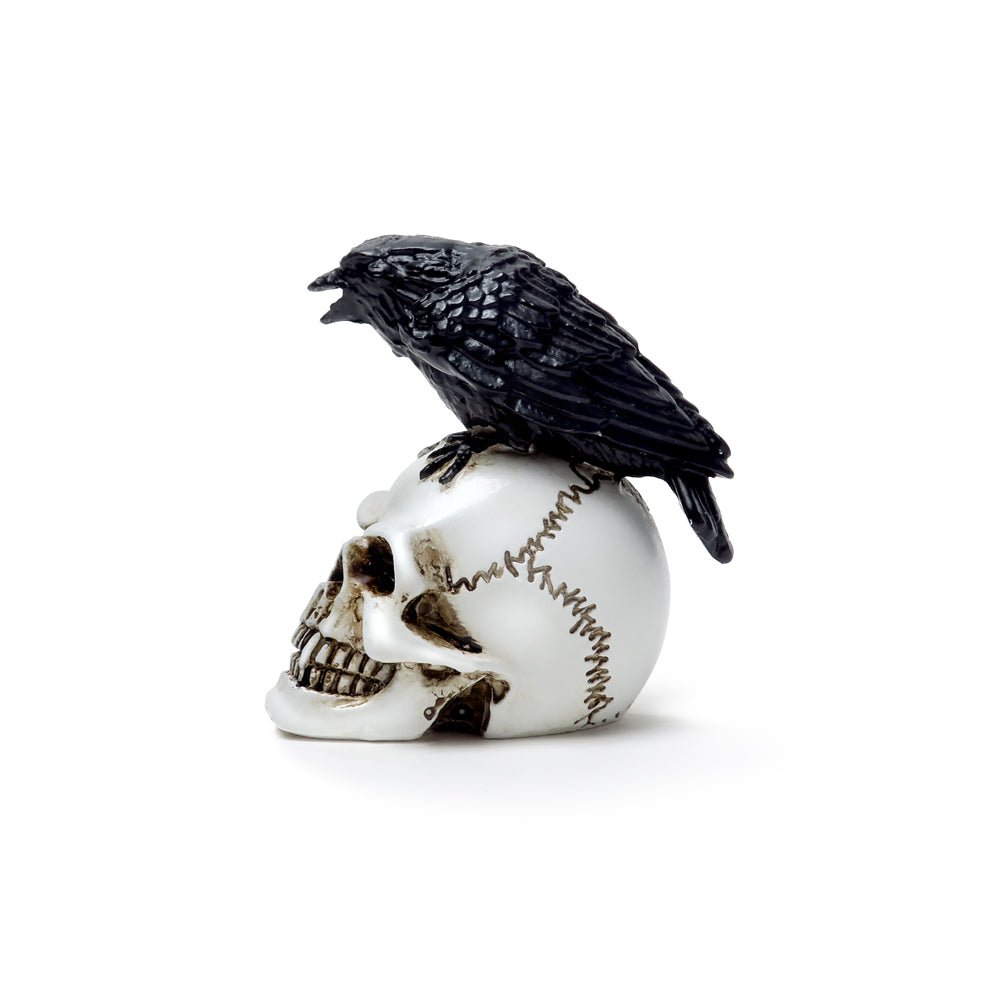 Raven Skull Miniature - Alchemy of England - 3